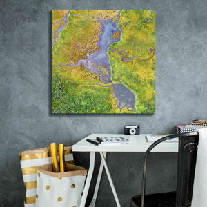 'Earth as Art: Watching Wetlands,' Canvas Wall Art,26 x 26
