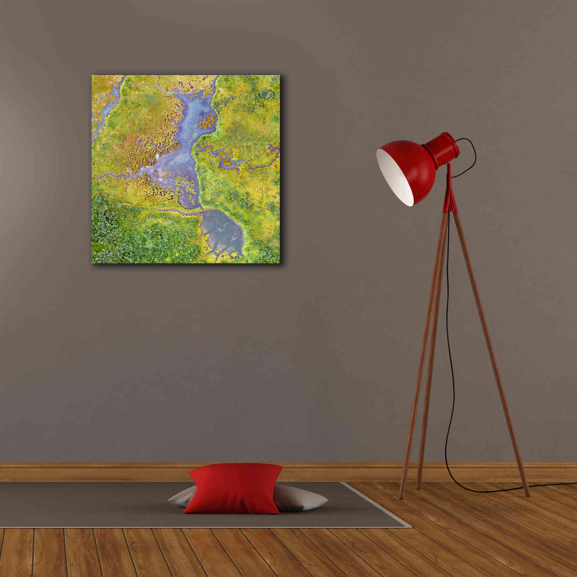 'Earth as Art: Watching Wetlands,' Canvas Wall Art,26 x 26