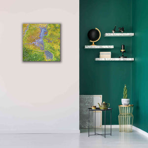 'Earth as Art: Watching Wetlands,' Canvas Wall Art,26 x 26