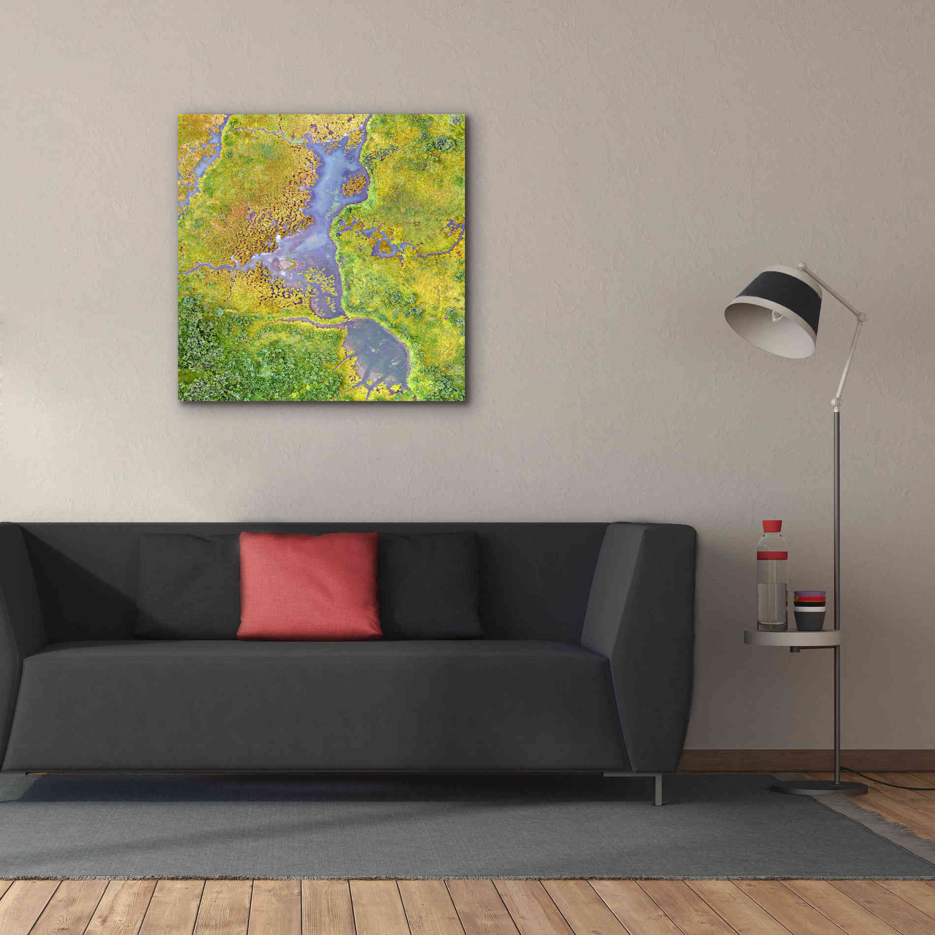 'Earth as Art: Watching Wetlands,' Canvas Wall Art,37 x 37
