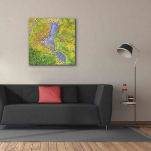 'Earth as Art: Watching Wetlands,' Canvas Wall Art,37 x 37