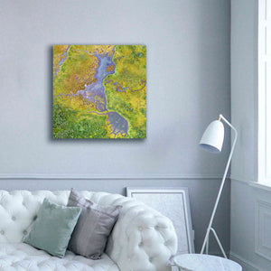 'Earth as Art: Watching Wetlands,' Canvas Wall Art,37 x 37