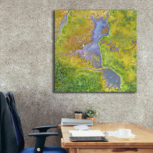 'Earth as Art: Watching Wetlands,' Canvas Wall Art,37 x 37