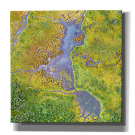 'Earth as Art: Watching Wetlands,' Canvas Wall Art,12x12x1.1x0,18x18x1.1x0,26x26x1.74x0,37x37x1.74x0