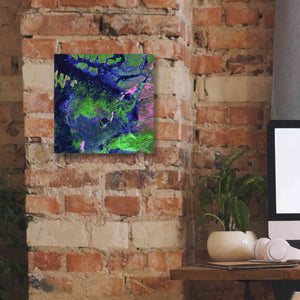 'Earth as Art: Wondrous Wetlands,' Canvas Wall Art,12 x 12