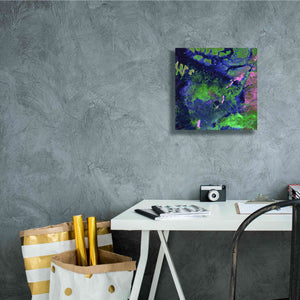 'Earth as Art: Wondrous Wetlands,' Canvas Wall Art,12 x 12