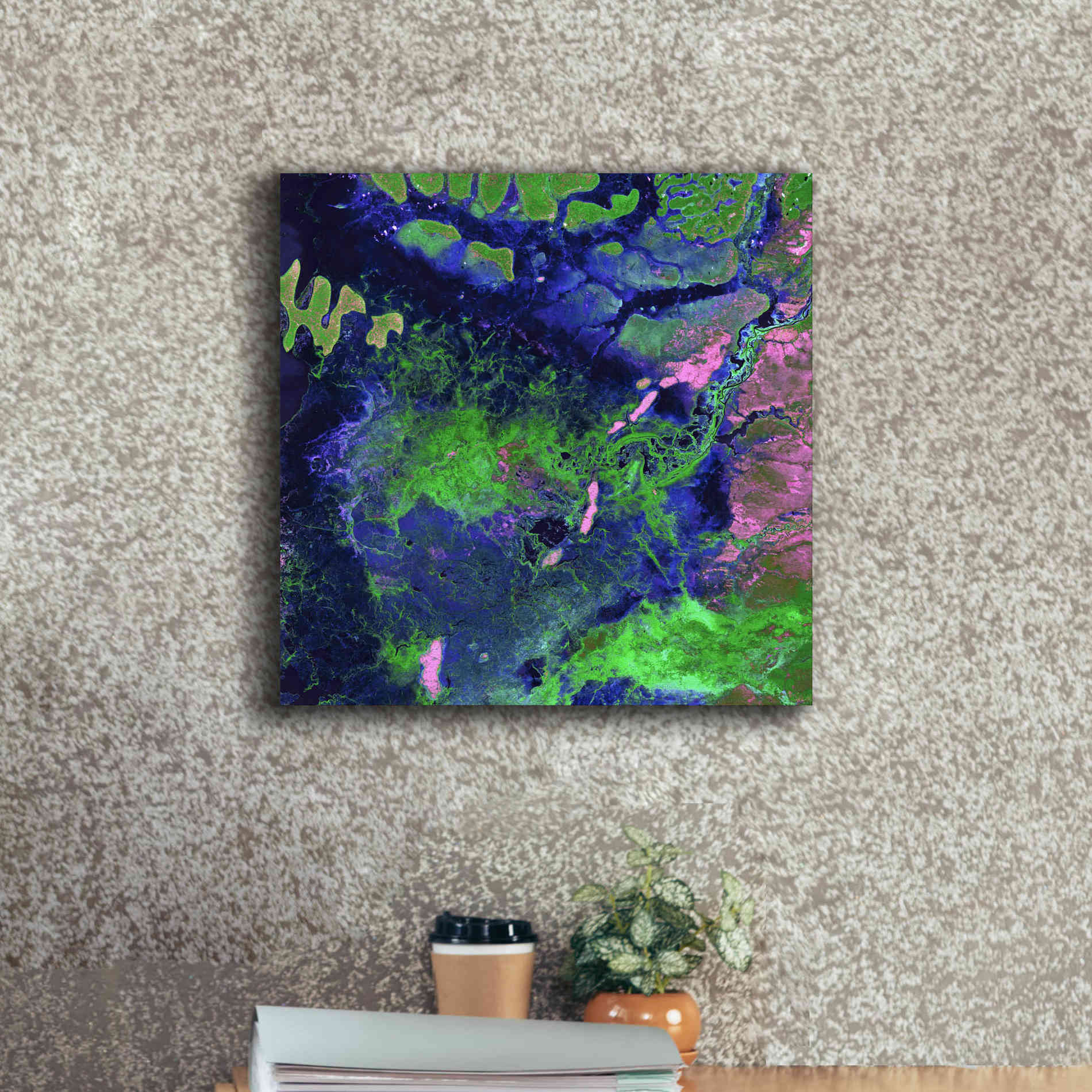 'Earth as Art: Wondrous Wetlands,' Canvas Wall Art,18 x 18