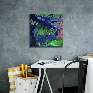'Earth as Art: Wondrous Wetlands,' Canvas Wall Art,18 x 18