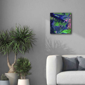 'Earth as Art: Wondrous Wetlands,' Canvas Wall Art,18 x 18