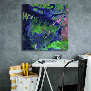 'Earth as Art: Wondrous Wetlands,' Canvas Wall Art,26 x 26
