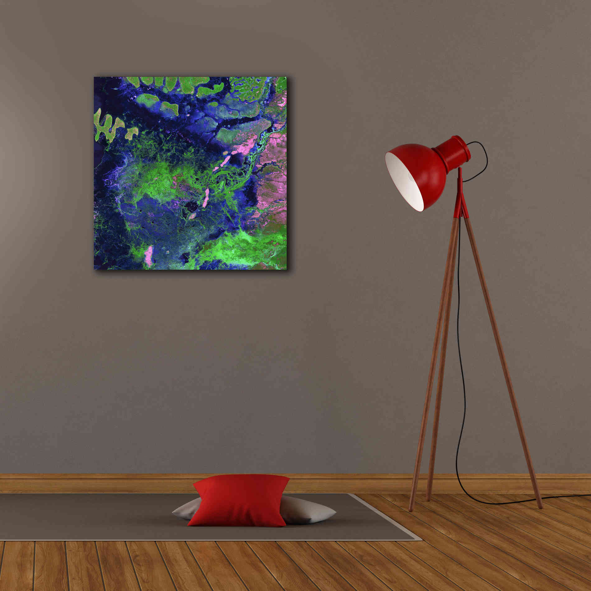 'Earth as Art: Wondrous Wetlands,' Canvas Wall Art,26 x 26