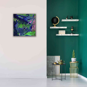 'Earth as Art: Wondrous Wetlands,' Canvas Wall Art,26 x 26