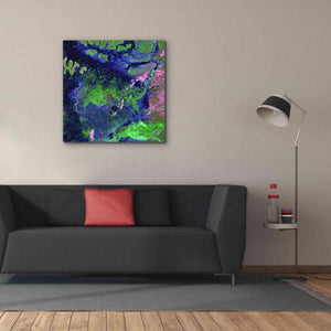 'Earth as Art: Wondrous Wetlands,' Canvas Wall Art,37 x 37