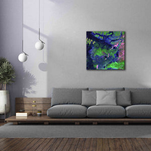 'Earth as Art: Wondrous Wetlands,' Canvas Wall Art,37 x 37