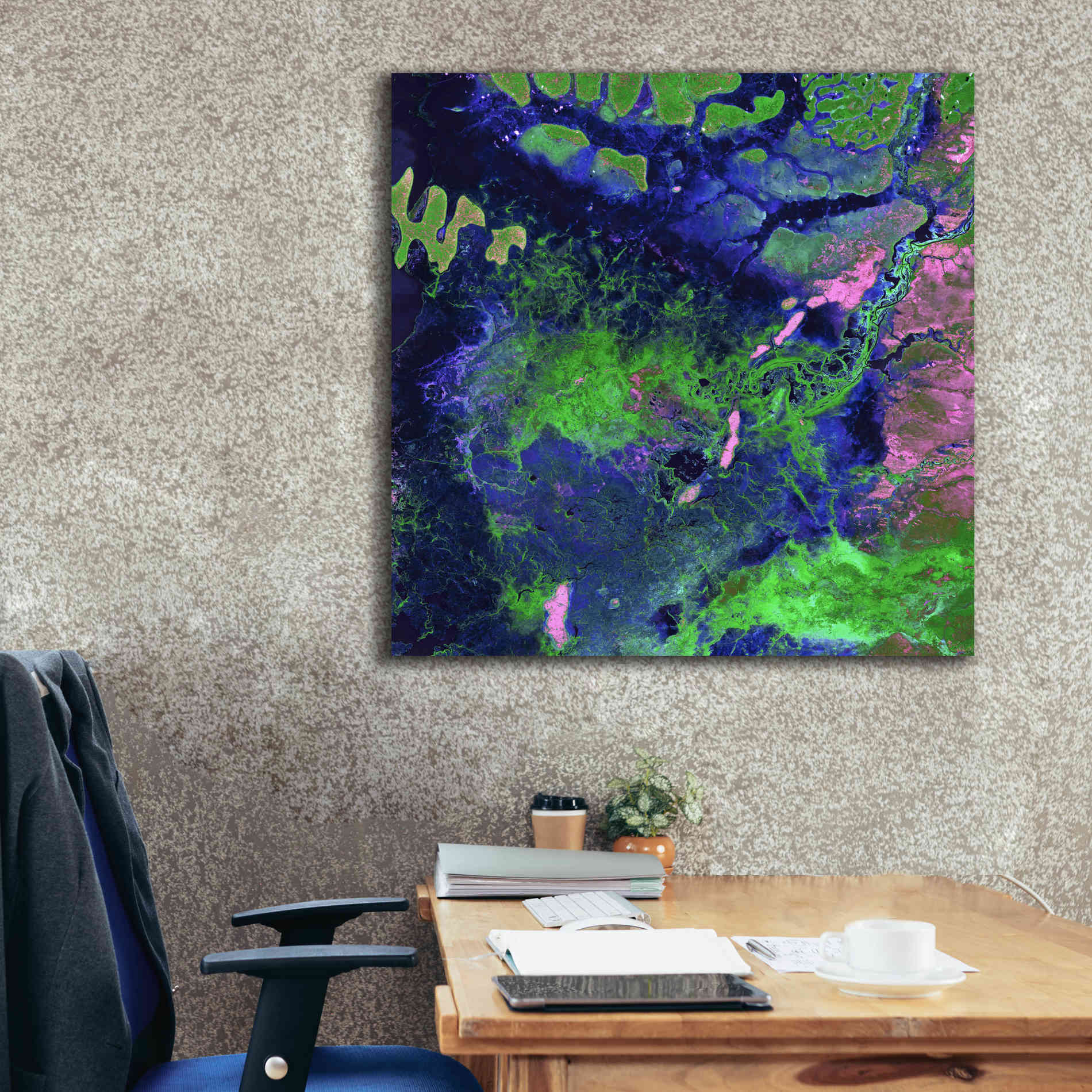 'Earth as Art: Wondrous Wetlands,' Canvas Wall Art,37 x 37