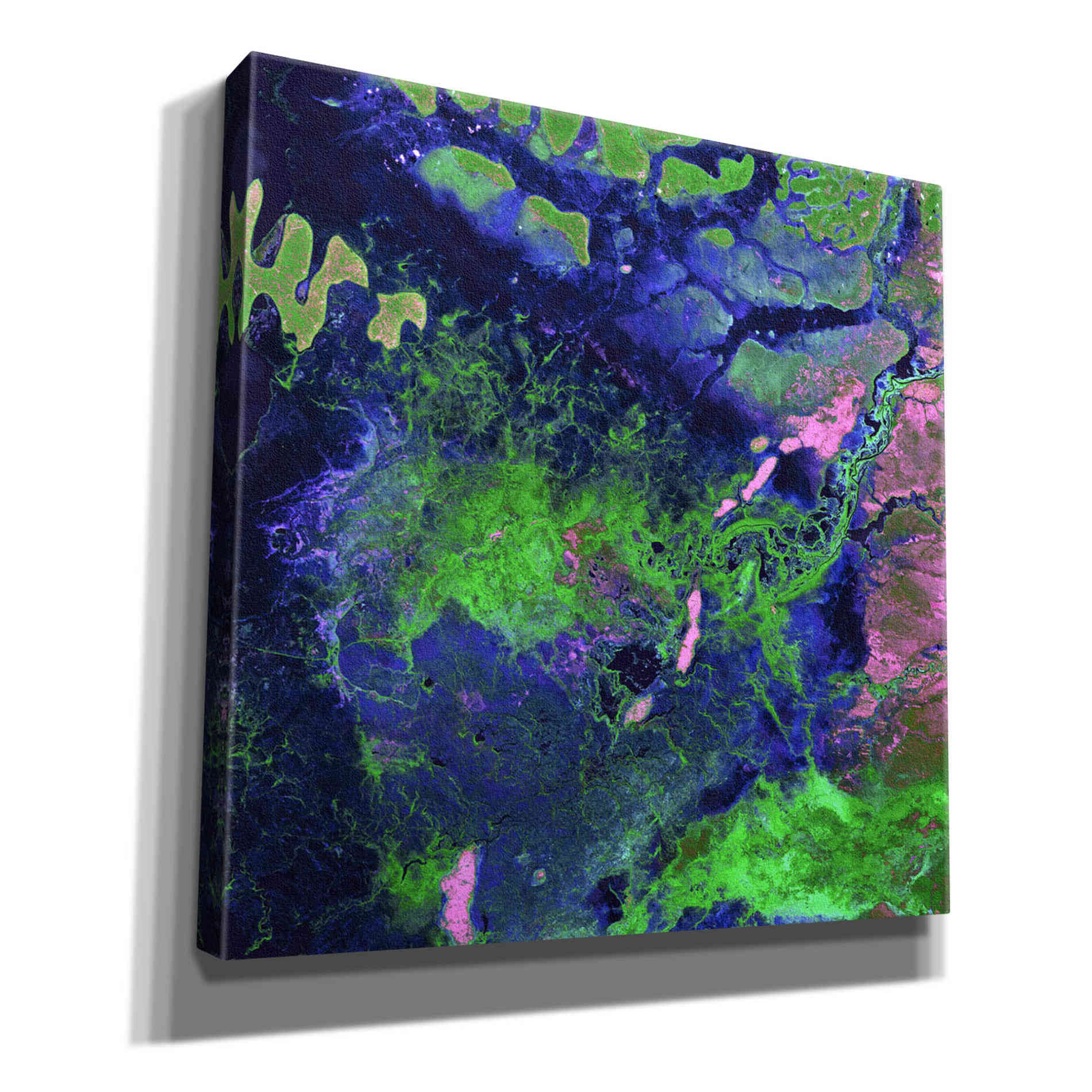 'Earth as Art: Wondrous Wetlands,' Canvas Wall Art,12x12x1.1x0,18x18x1.1x0,26x26x1.74x0,37x37x1.74x0