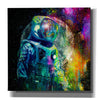 'BTC Bitcoin Moonlanding,' Canvas Wall Art