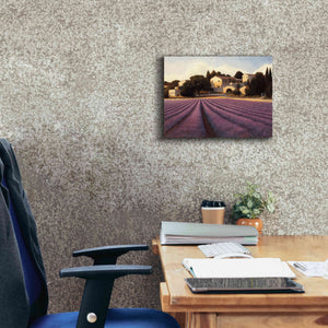 Epic Art 'Lavender Fields I' by James Wiens, Canvas Wall Art,16 x 12
