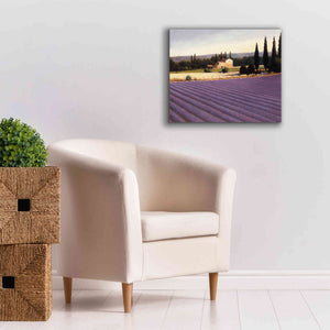 Epic Art 'Lavender Fields II' by James Wiens, Canvas Wall Art,24 x 20