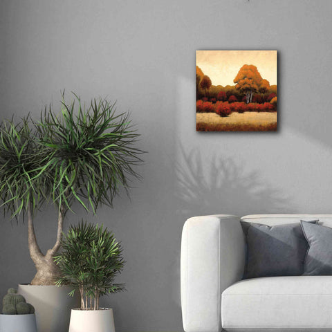 Image of Epic Art 'Autumn Forest I' by James Wiens, Canvas Wall Art,18 x 18