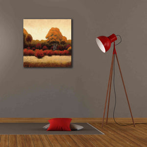 Epic Art 'Autumn Forest I' by James Wiens, Canvas Wall Art,26 x 26