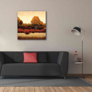 Epic Art 'Autumn Forest I' by James Wiens, Canvas Wall Art,37 x 37