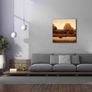 Epic Art 'Autumn Forest I' by James Wiens, Canvas Wall Art,37 x 37