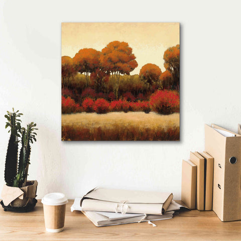 Image of Epic Art 'Autumn Forest II' by James Wiens, Canvas Wall Art,18 x 18