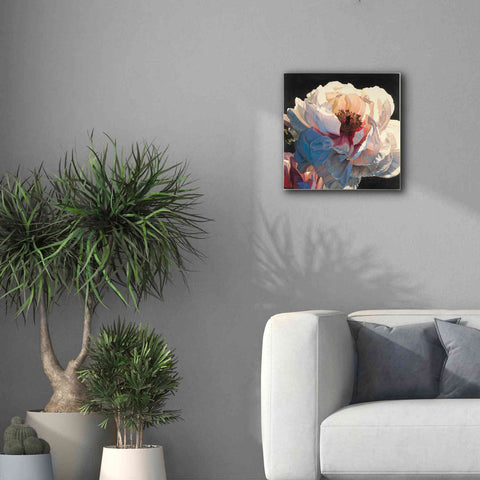 Image of Epic Art 'Morning Glow I' by James Wiens, Canvas Wall Art,18 x 18