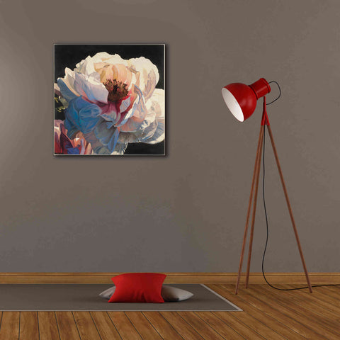Image of Epic Art 'Morning Glow I' by James Wiens, Canvas Wall Art,26 x 26
