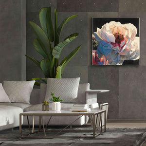 Epic Art 'Morning Glow I' by James Wiens, Canvas Wall Art,37 x 37