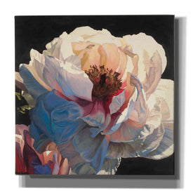 Epic Art 'Morning Glow I' by James Wiens, Canvas Wall Art,12x12x1.1x0,18x18x1.1x0,26x26x1.74x0,37x37x1.74x0