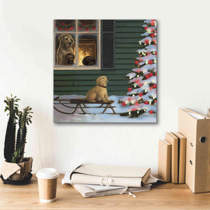Epic Art 'Make a Wish' by James Wiens, Canvas Wall Art,18 x 18