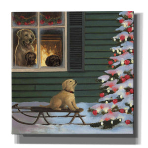 Epic Art 'Make a Wish' by James Wiens, Canvas Wall Art,12x12x1.1x0,18x18x1.1x0,26x26x1.74x0,37x37x1.74x0