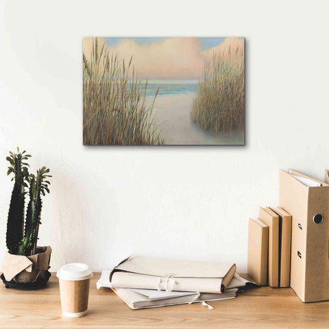 Image of Epic Art 'Beach Trail I' by James Wiens, Canvas Wall Art,18 x 12