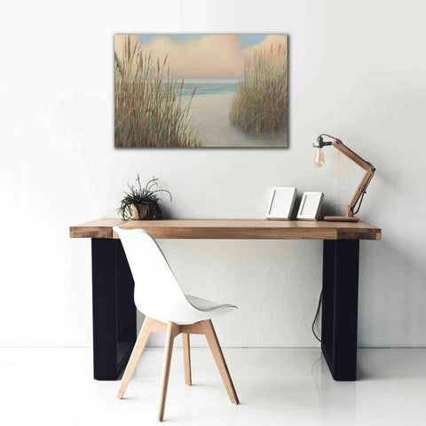Image of Epic Art 'Beach Trail I' by James Wiens, Canvas Wall Art,40 x 26