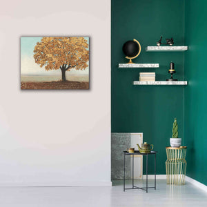 Epic Art 'Gold Reflections I' by James Wiens, Canvas Wall Art,34 x 26