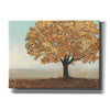 Epic Art 'Gold Reflections I' by James Wiens, Canvas Wall Art,16x12x1.1x0,26x18x1.1x0,34x26x1.74x0,54x40x1.74x0