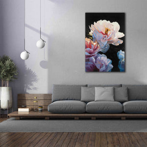 Epic Art 'Morning Glow II' by James Wiens, Canvas Wall Art,40 x 60