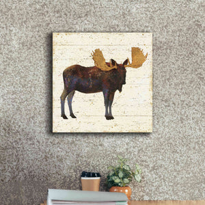 Epic Art 'Golden Nature I' by James Wiens, Canvas Wall Art,18 x 18