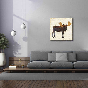 Epic Art 'Golden Nature I' by James Wiens, Canvas Wall Art,37 x 37