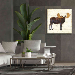 Epic Art 'Golden Nature I' by James Wiens, Canvas Wall Art,37 x 37