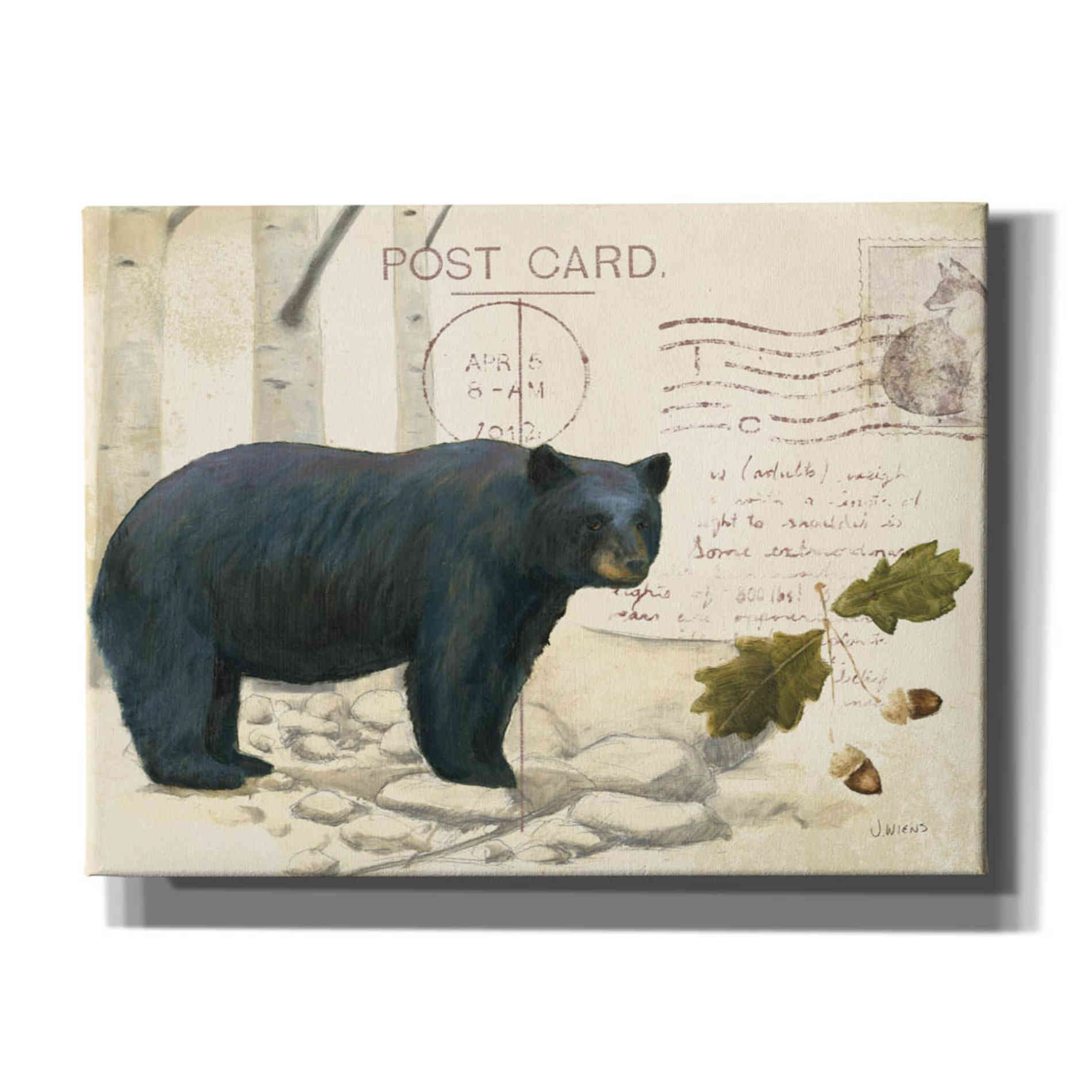 Epic Art 'Northern Wild Bear' by James Wiens, Canvas Wall Art,16x12x1.1x0,24x20x1.1x0,30x26x1.74x0,54x40x1.74x0
