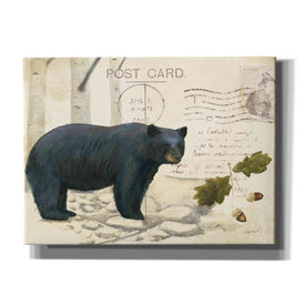 Epic Art 'Northern Wild Bear' by James Wiens, Canvas Wall Art,16x12x1.1x0,24x20x1.1x0,30x26x1.74x0,54x40x1.74x0
