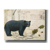Epic Art 'Northern Wild Bear' by James Wiens, Canvas Wall Art,16x12x1.1x0,24x20x1.1x0,30x26x1.74x0,54x40x1.74x0