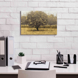 Epic Art 'Golden Trees I' by James Wiens, Canvas Wall Art,18 x 12