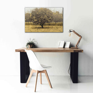 Epic Art 'Golden Trees I' by James Wiens, Canvas Wall Art,40 x 26