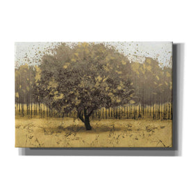 Epic Art 'Golden Trees I' by James Wiens, Canvas Wall Art,18x12x1.1x0,26x18x1.1x0,40x26x1.74x0,60x40x1.74x0