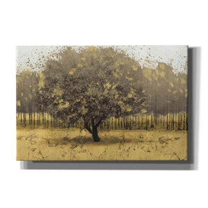 Epic Art 'Golden Trees I' by James Wiens, Canvas Wall Art,18x12x1.1x0,26x18x1.1x0,40x26x1.74x0,60x40x1.74x0