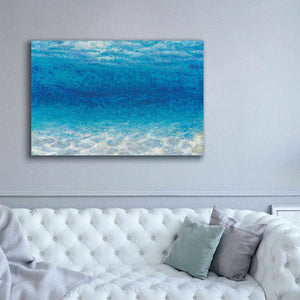 Epic Art 'Underwater I' by James Wiens, Canvas Wall Art,60 x 40